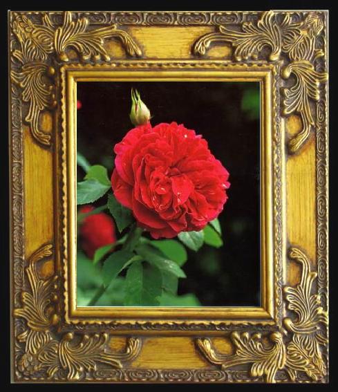 unknow artist Still life floral, all kinds of reality flowers oil painting  359